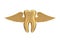 Golden Tooth with Angel Wings. 3d Rendering