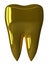 Golden tooth isolated