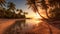 Golden Tranquility: A Serene Low Angle Capture of a Beach at Sunset