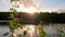 Golden Tranquility: Sunset Reflections over Forest Lake