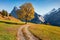 Golden tree on the Grindelwald village valley. Perfect morning view of Swiss Bernese Alps, Switzerland, Europe. Beauty of countrys