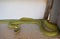 Golden Tree Snake Chrysopelea ornata