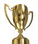 Golden trophy cup