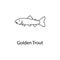 golden trout icon. Element of marine life for mobile concept and web apps. Thin line golden trout icon can be used for web and mob