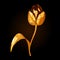 Golden tulip with curved stalk, leaf and open petals, with backlight and highlights