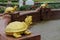 Golden turtle sculpture in Wat Pha Nam Yoi Thailand