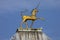 Golden Unicorn at Bristol City Hall