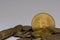 golden valuable bitcoin standing between other coins detail with gray