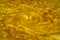 Golden vortex full screen. Gold texture swirling