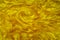 Golden vortex of gold dust Detailed wealth opulence plethora of money 01