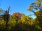 Golden and warm autumn in the park, trees dressed in colorful outfits, calmness and quiet