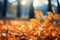 Golden warmth autumn foliage, blurred landscape, pastel serenity, warm sunlight