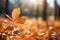 Golden warmth autumn foliage, blurred landscape, pastel serenity, warm sunlight
