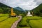 Golden Wat Na Ku Ha temple next to a white pagoda with a bamboo bridge over a green rice field