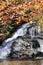 Golden waterfall: Waterfall framed with yellow and orange fall leaves and water