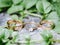 Golden wedding rings on stone surface with fresh green leaves, eternal love concept. Wedding band and golden engagement ring with