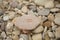 Golden wedding rings on a stones. Rustic wedding concept.