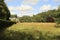 Golden wheat beneath the gaze of Restormel manor