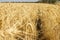 Golden wheat field in Central Queensland