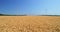 Golden wheat field and electric Windmill in countryside. Wind Power Turbine