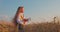 Golden wheat field and little girl with Bulgarian folklore costume during harvest time and sunset