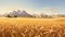 Golden Wheat Field: A Photorealistic Painting Of Sunlit Karst