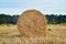 Golden wheat field, roll of wheat