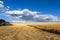 A golden wheat field under a bright blue sky, half of the harvest has already been harvested