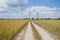 Golden Wheat panorama at sunset, countryside. Beautiful nature sunset landscape. combine harvesting. Happy farm girl. happy girl