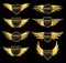 Golden wing set. Creative sport or business success awards with elegant eagle flying wings vector isolated metal logos