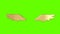Golden Wings On Green Screen Background 4K Animations. Shiny, golden angel wings. Pair of gold golden shiny metal wings