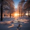 Golden winter sunset in the woodland, a moment of serene beauty