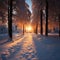 Golden winter sunset in the woodland, a moment of serene beauty