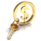 Golden yale key with dollar sign