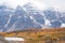 Golden yellow larch forest in Fall season. Larch Valley, Banff National Park, Canadian Rockies, Alberta, Canada.