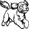 Goldendoodle - Dog Breed, Funny dog Vector File, detailed vector