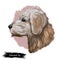 Goldendoodle dog digital art illustration isolated on white