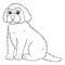 Goldendoodle Dog Isolated Coloring Page for Kids