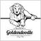 Goldendoodle Dog - vector illustration for t-shirt, logo and template badges