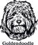 Goldendoodle - Funny Dog, Vector File, Cut Stencil for Tshirt