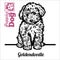 Goldendoodle puppy sitting. Drawing by hand, sketch. Engraving style, black and white vector image.