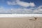 A Goldendoodle Running Toward Frozen Lake Michigan, Chicago