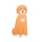 Goldendoodle sitting on white background. Adorable dog colorful cartoon illustration in flat style. Friendly curly-haired puppy