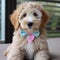 Goldendoodle wearing aviator goggles. Created using ai generative.