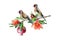 Goldfinch bird on pomegranate branch illustration. Hand drawn watercolor realistic image. Couple goldfinch songbirds on the tree.