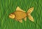 Goldfish on a background of green algae