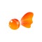 Goldfish colorful vector