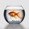 Goldfish in a fishbowl isolated on transparent background