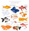 Goldfish. Freshwater aquarium fish icon set flat style isolated on white