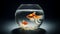 Goldfish in a Glass Tank